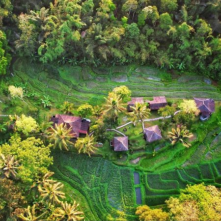 Oemah Tepi Sawah Villa Desa Desa Jatiluwih Exteriör bild