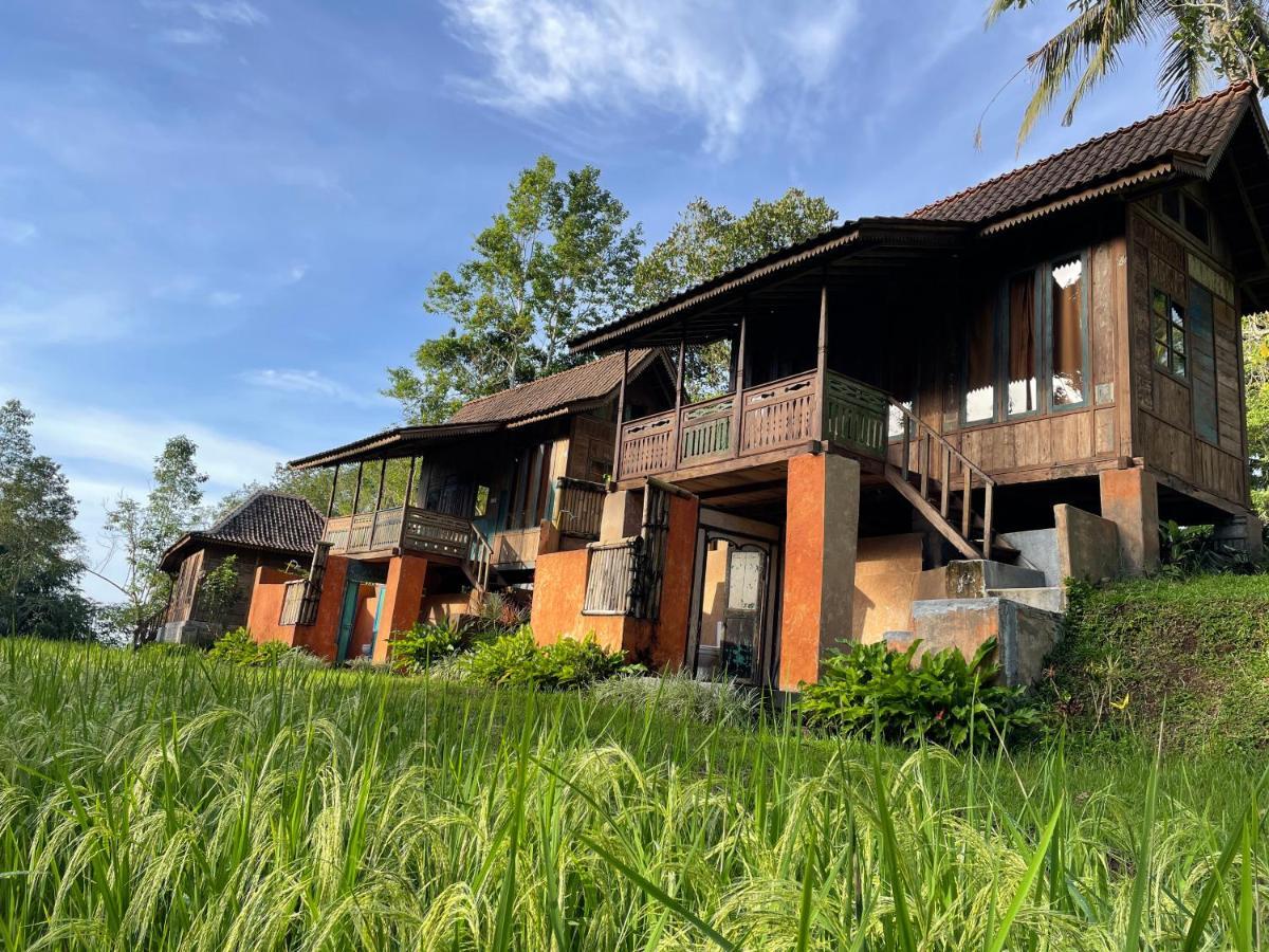 Oemah Tepi Sawah Villa Desa Desa Jatiluwih Exteriör bild
