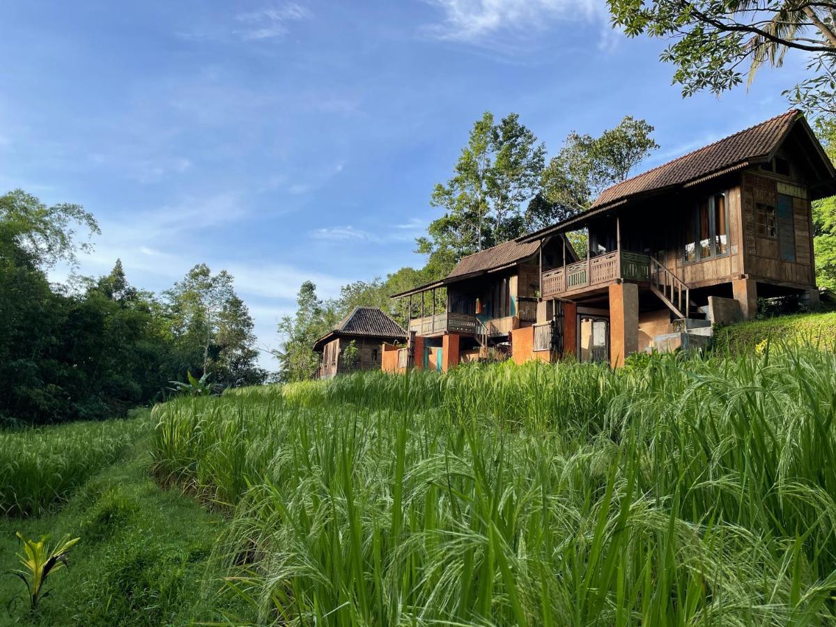 Oemah Tepi Sawah Villa Desa Desa Jatiluwih Exteriör bild