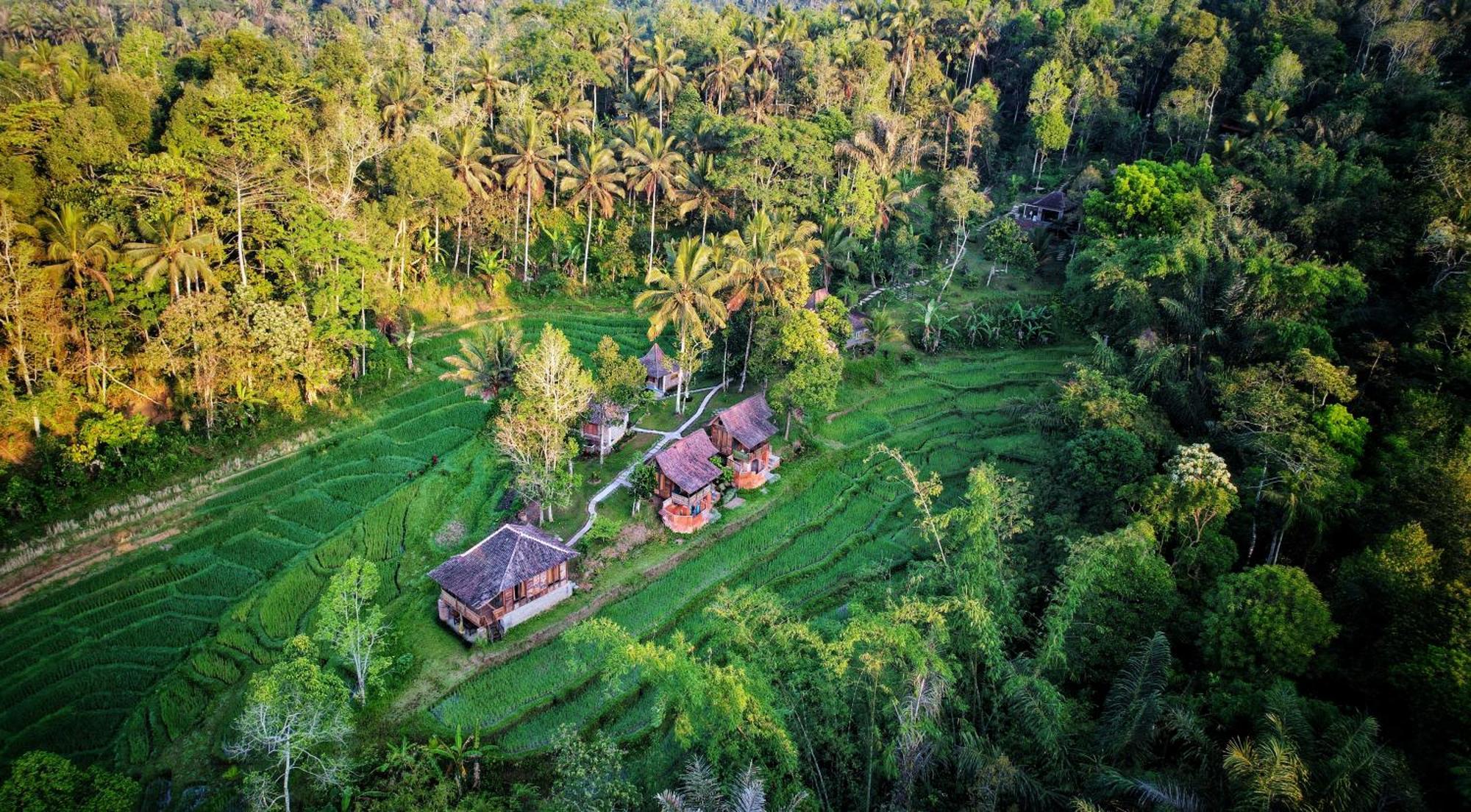 Oemah Tepi Sawah Villa Desa Desa Jatiluwih Exteriör bild