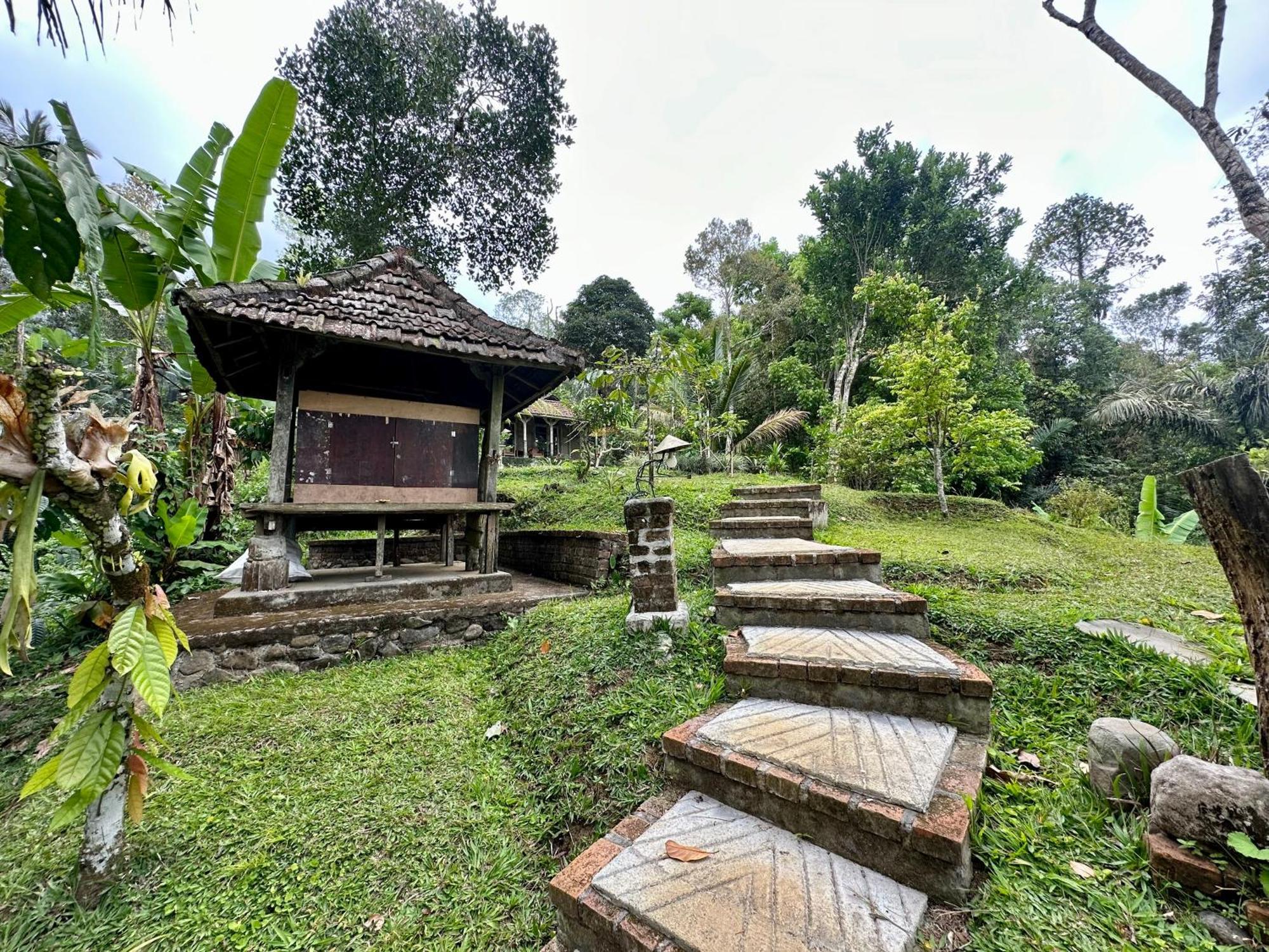 Oemah Tepi Sawah Villa Desa Desa Jatiluwih Exteriör bild