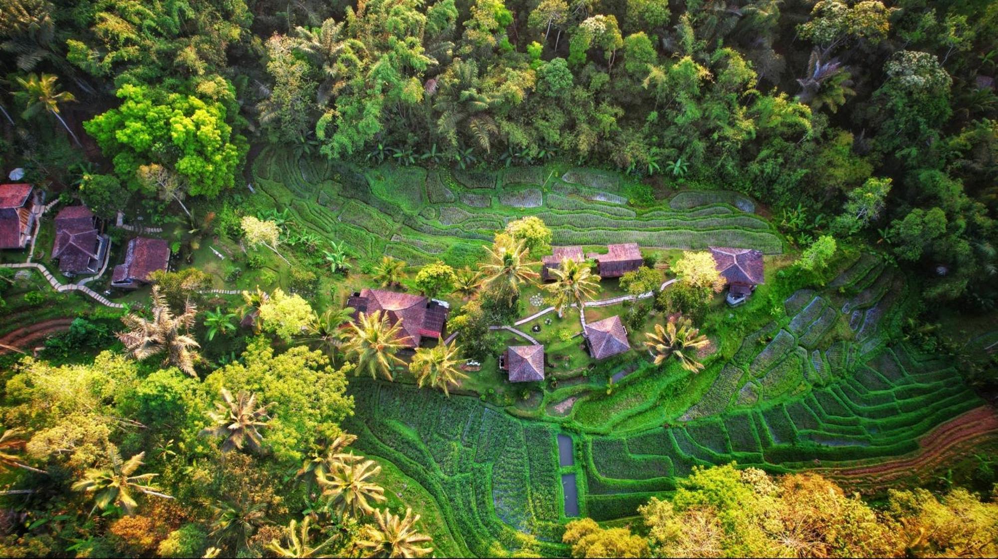 Oemah Tepi Sawah Villa Desa Desa Jatiluwih Exteriör bild