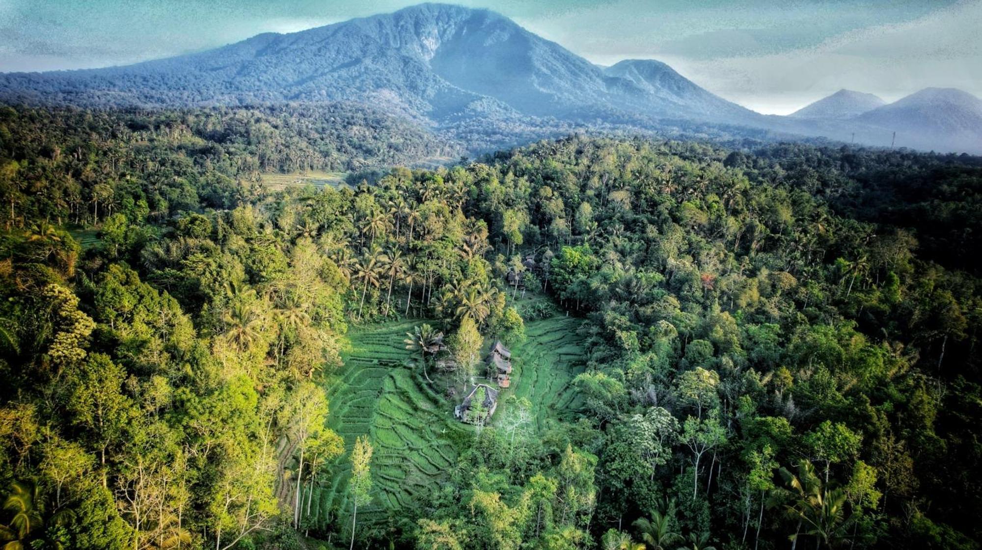 Oemah Tepi Sawah Villa Desa Desa Jatiluwih Exteriör bild