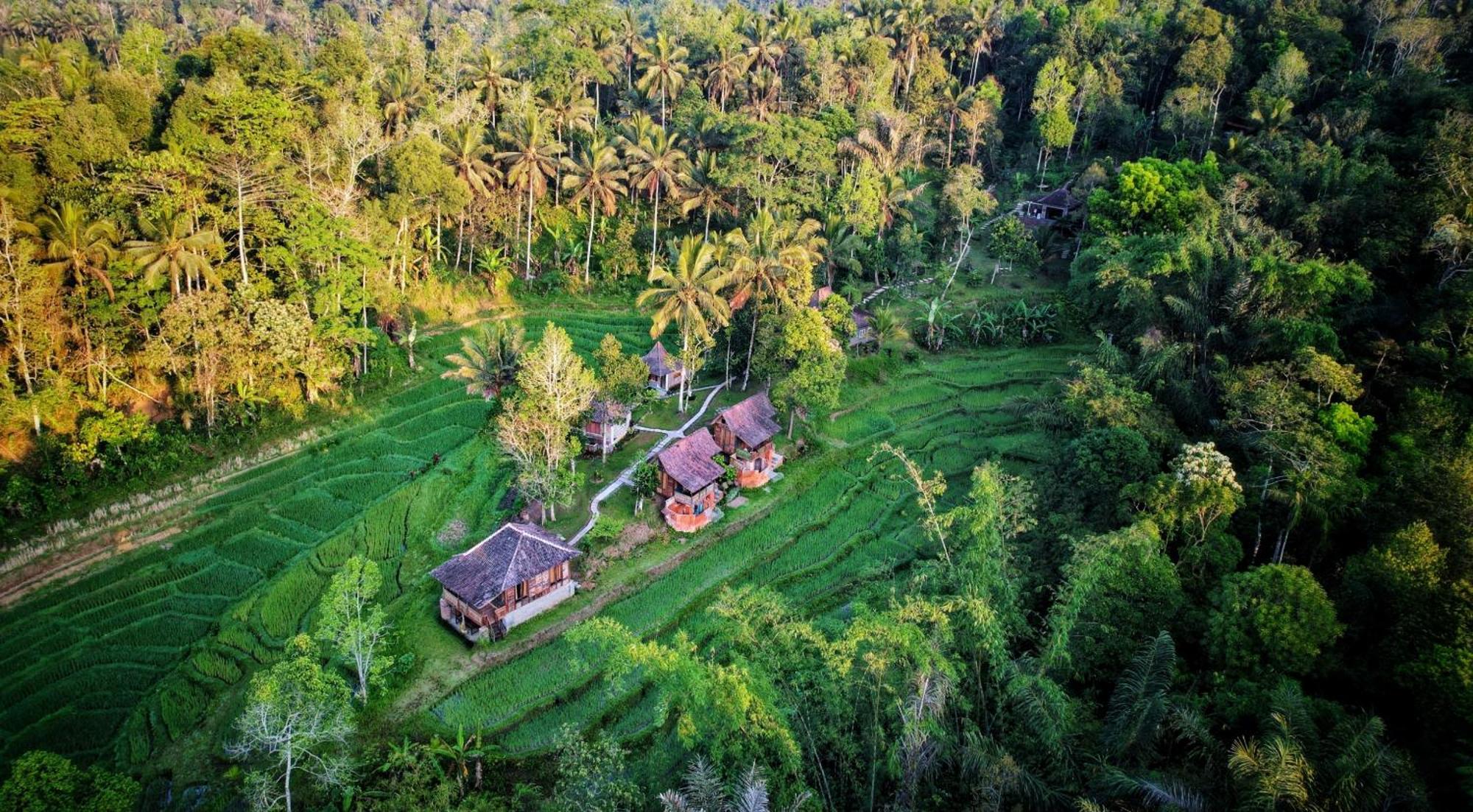 Oemah Tepi Sawah Villa Desa Desa Jatiluwih Exteriör bild