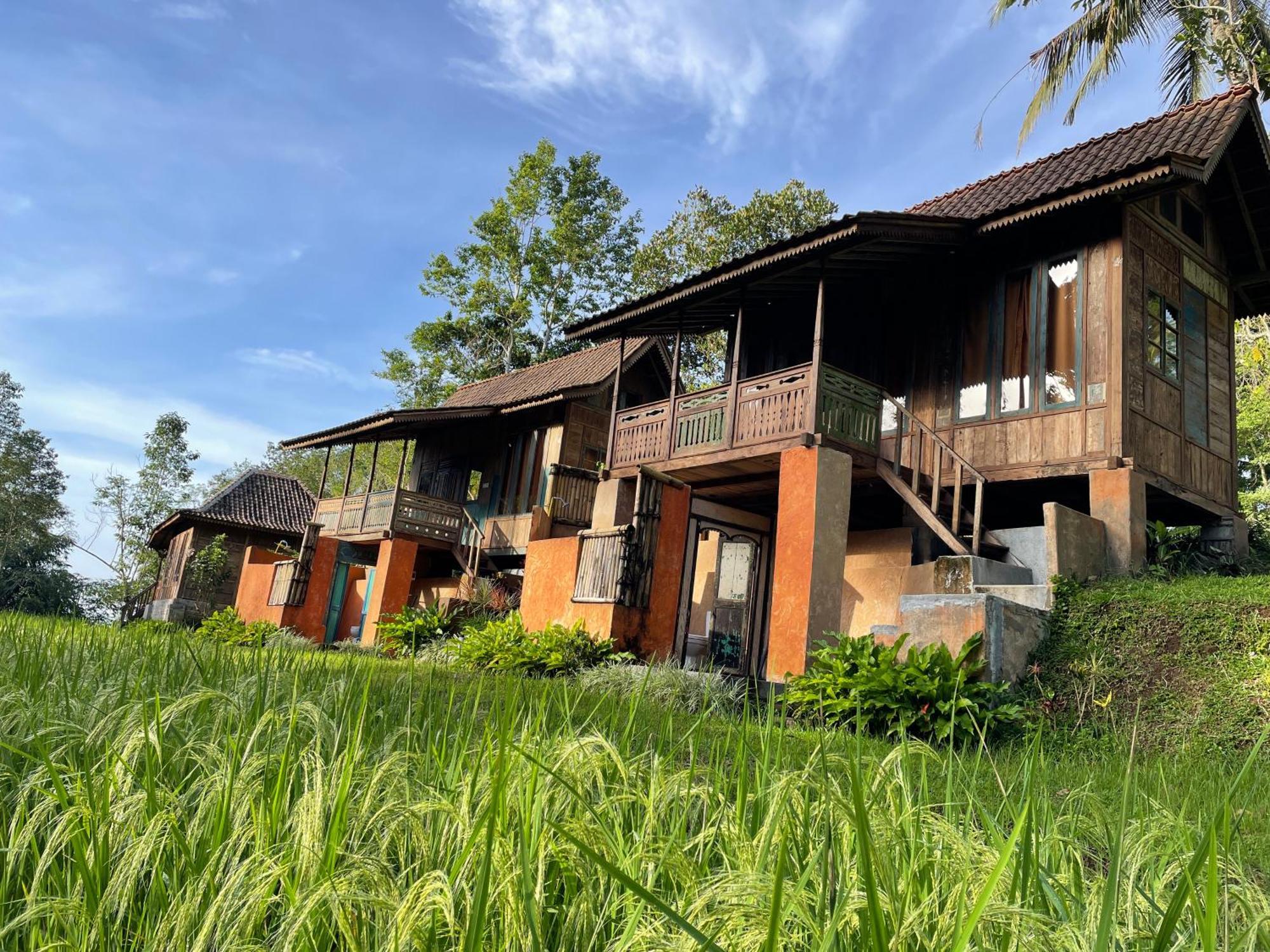 Oemah Tepi Sawah Villa Desa Desa Jatiluwih Exteriör bild