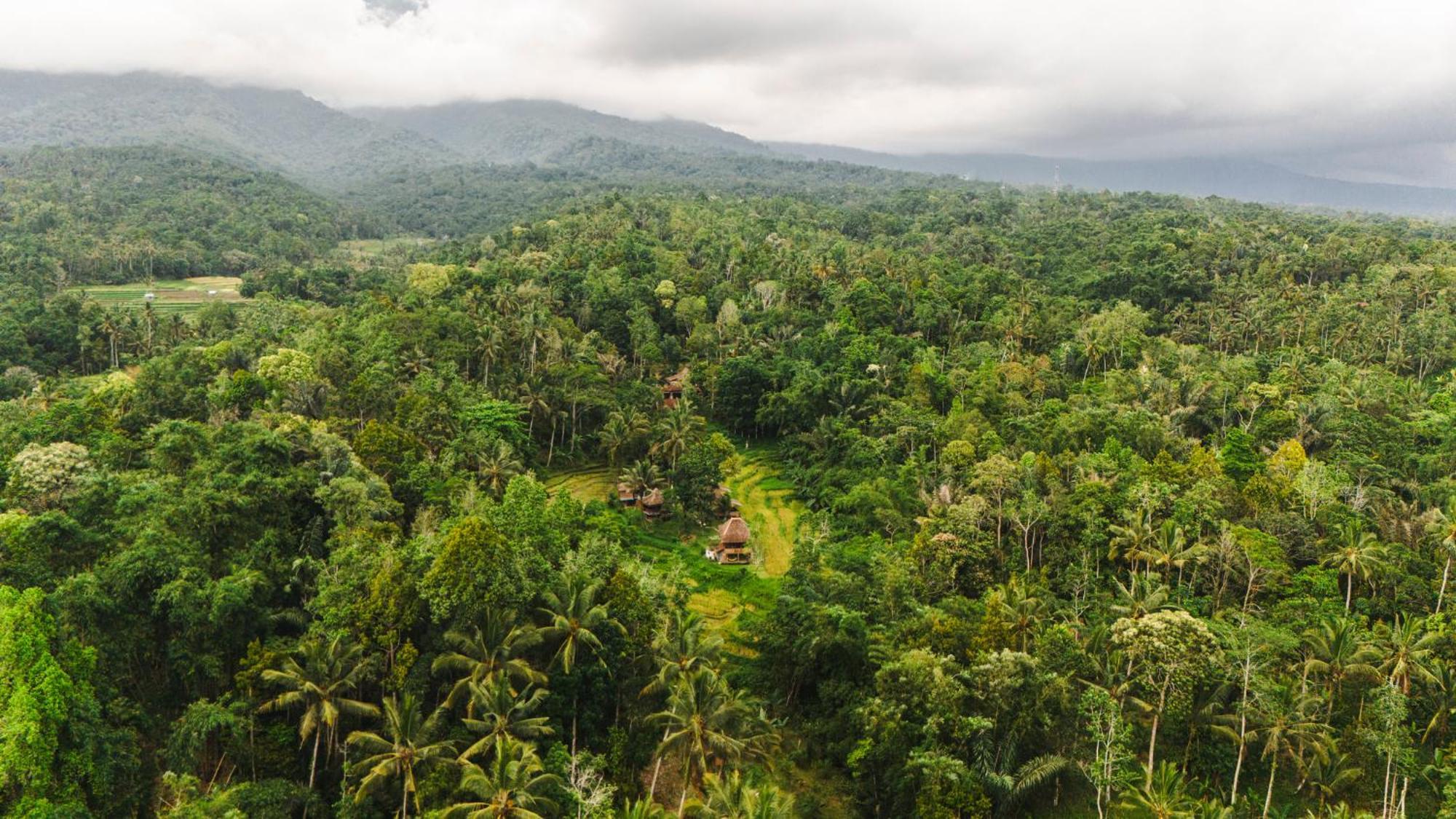 Oemah Tepi Sawah Villa Desa Desa Jatiluwih Exteriör bild